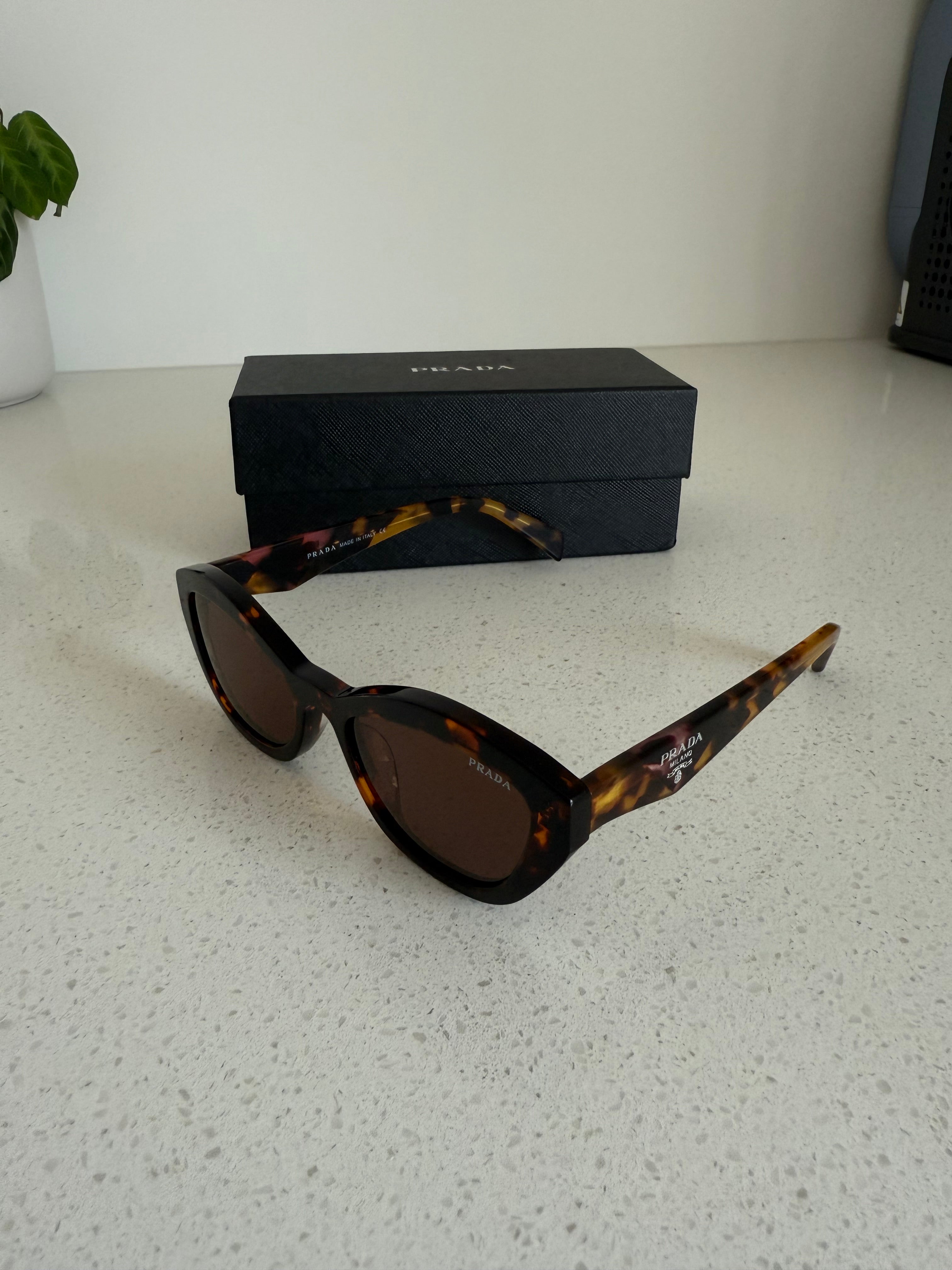 Glasses