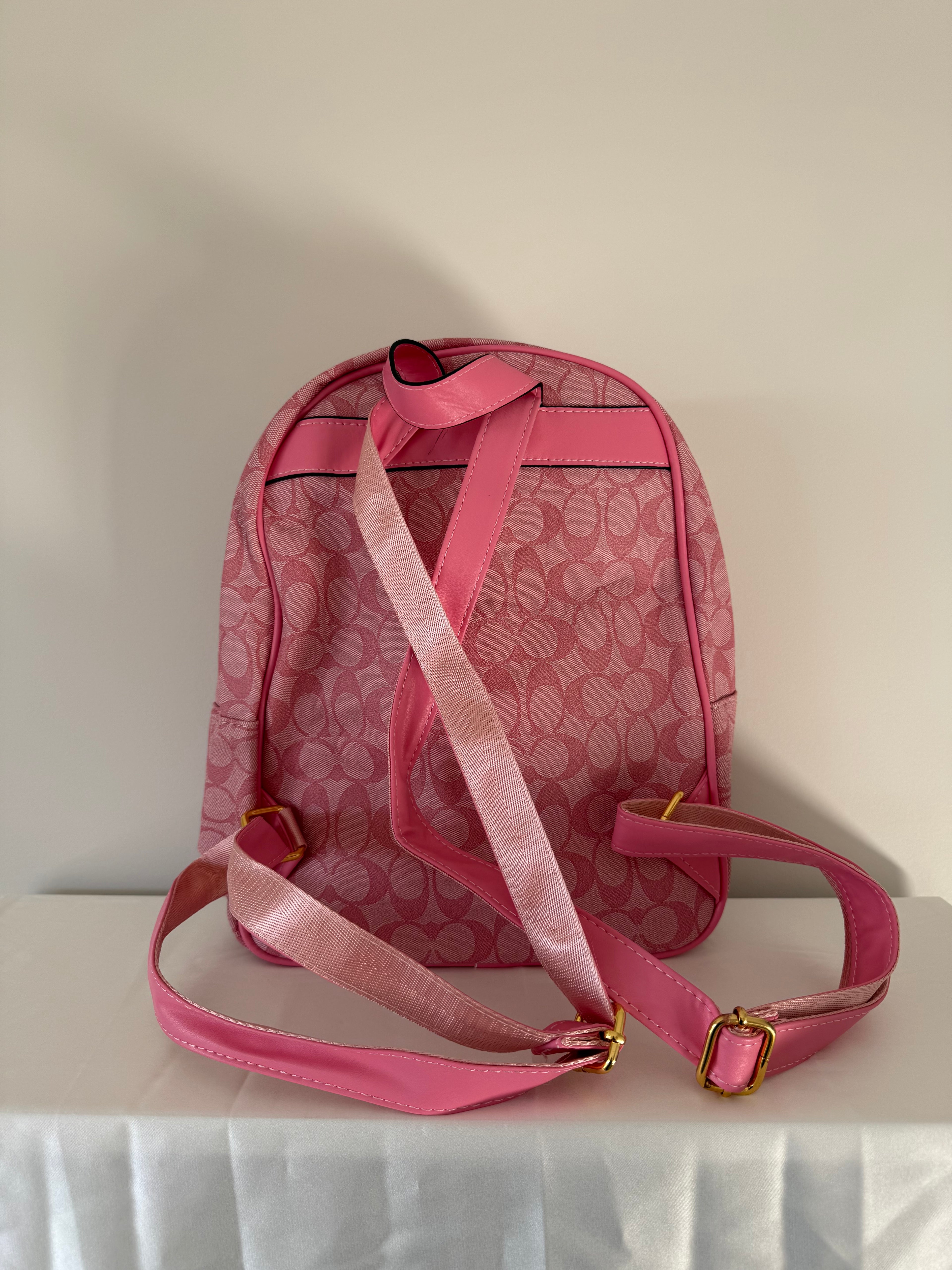 Pink Coach Backpack