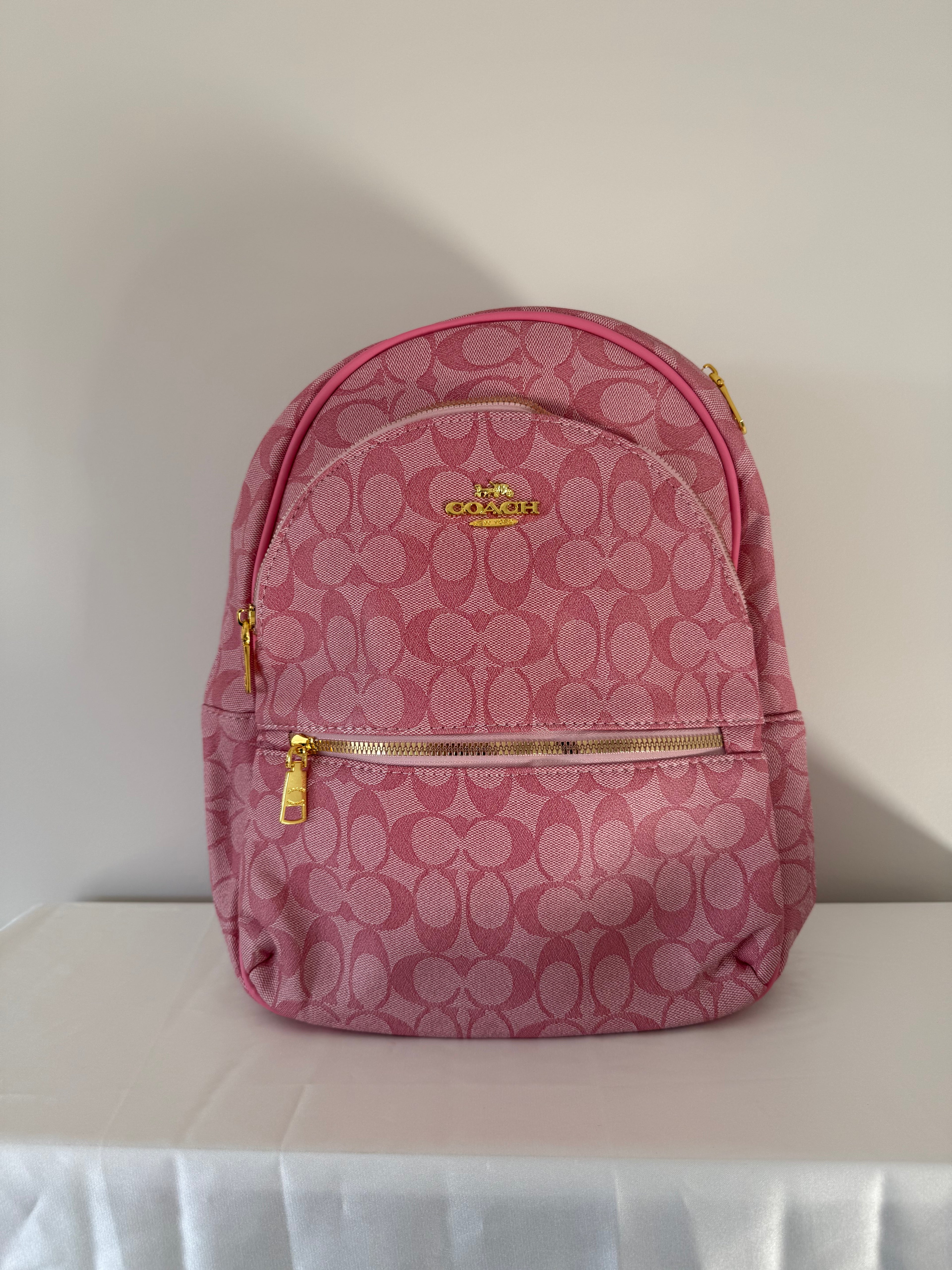 Pink Coach Backpack