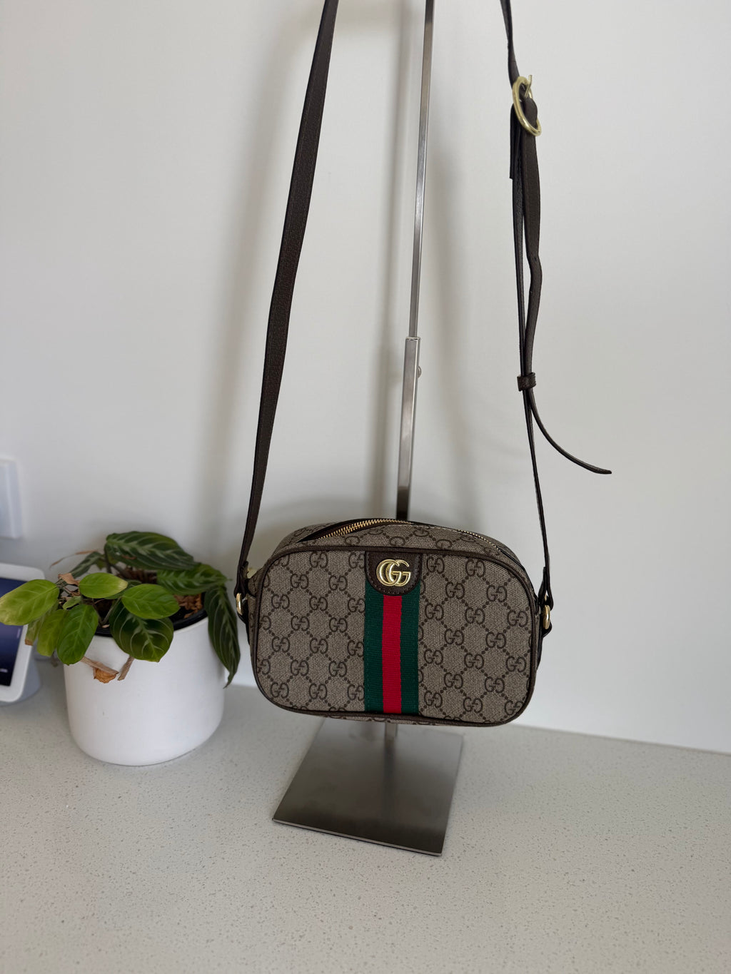GG bag