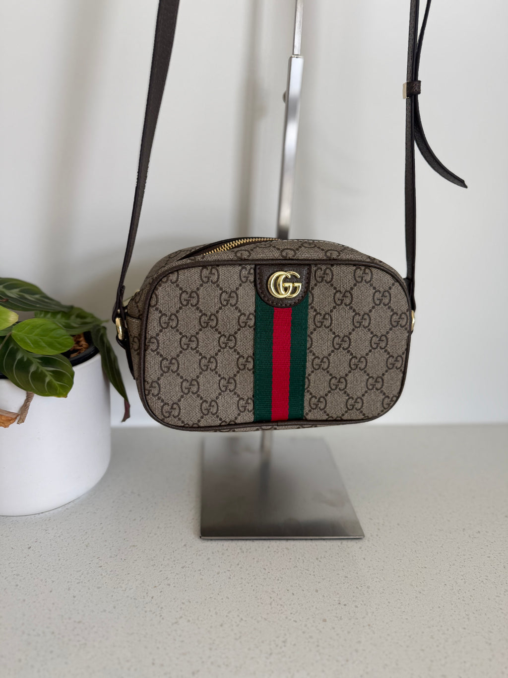 GG bag