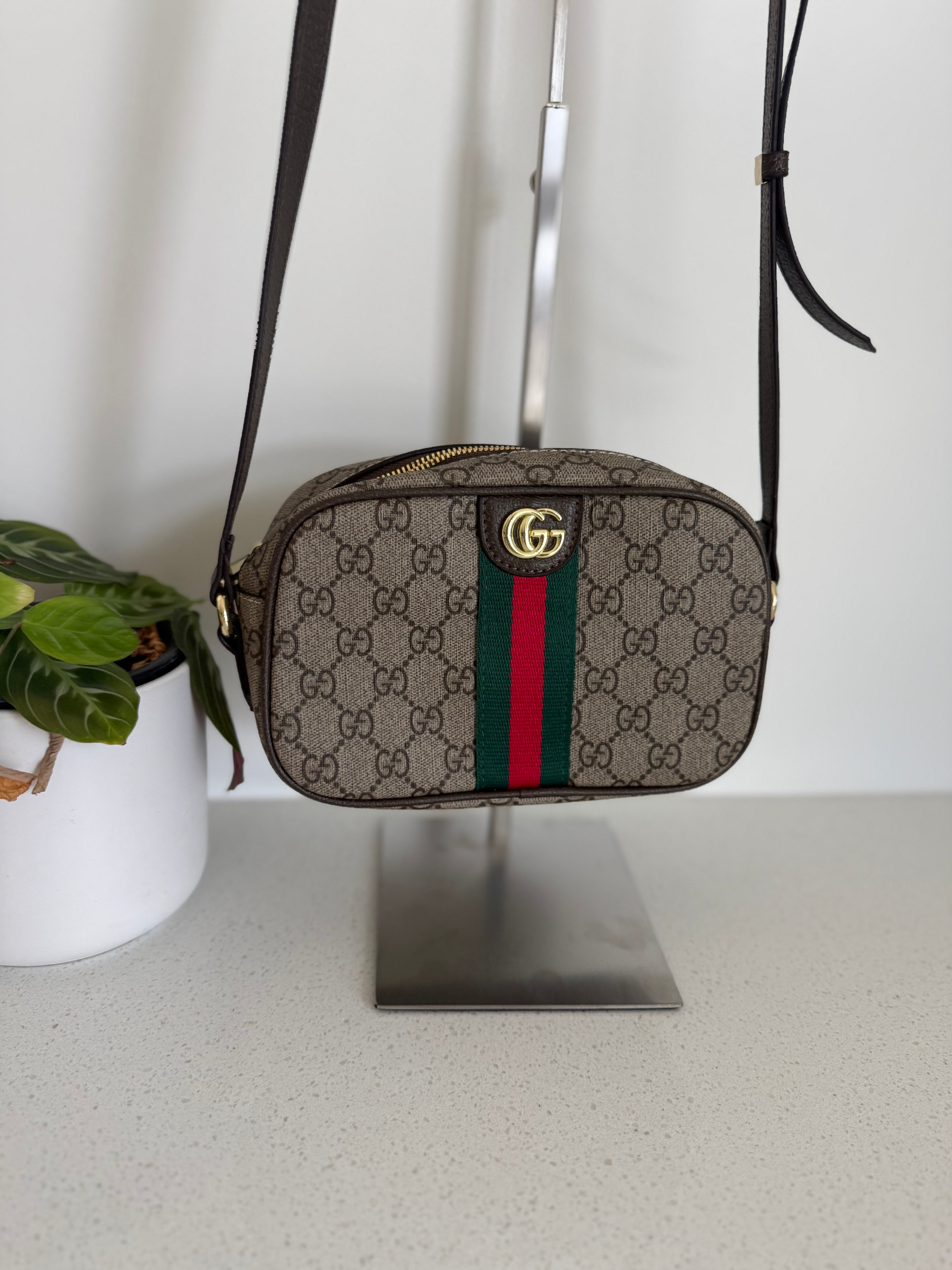GG bag