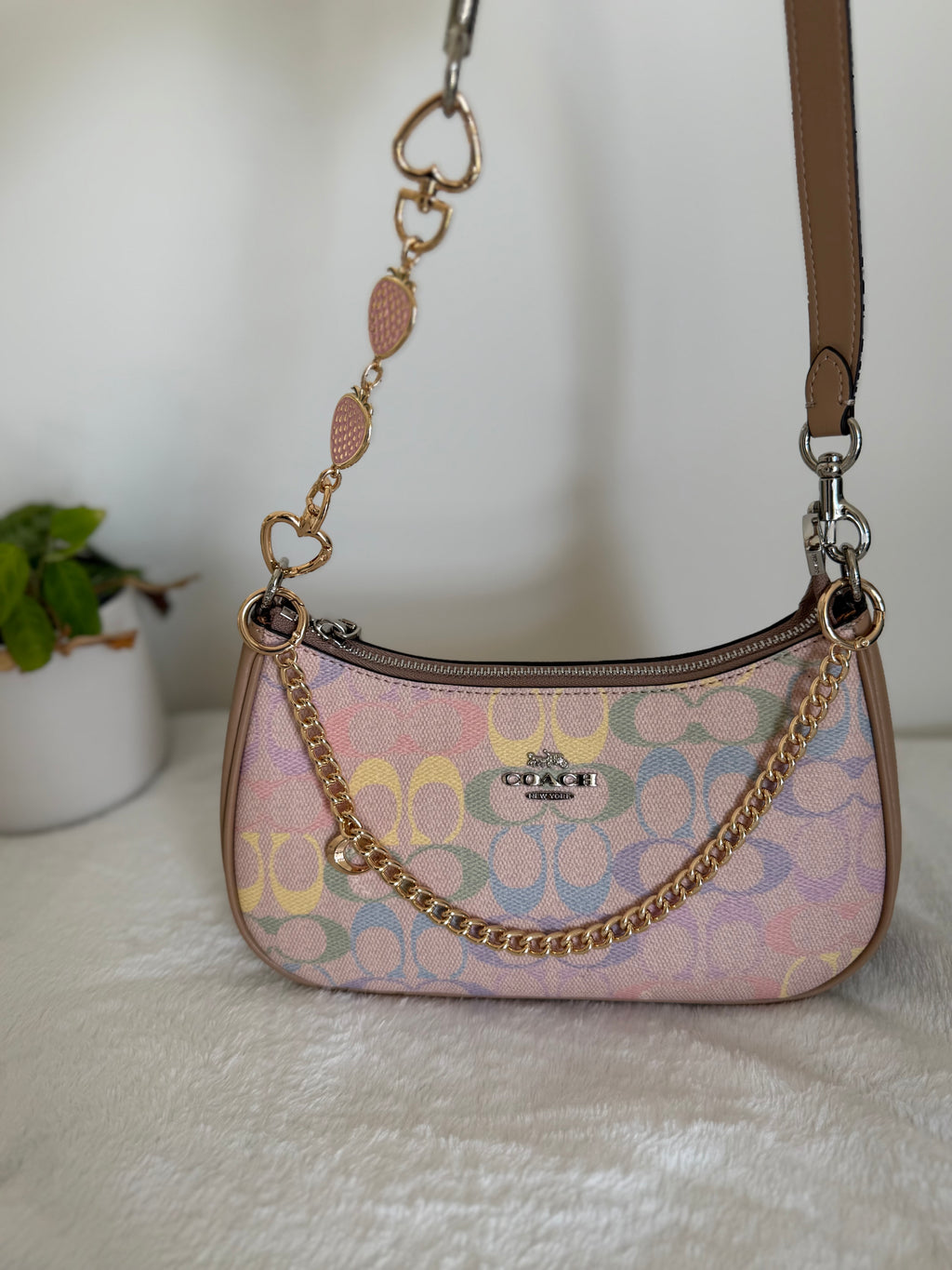 Rainbow coach bag
