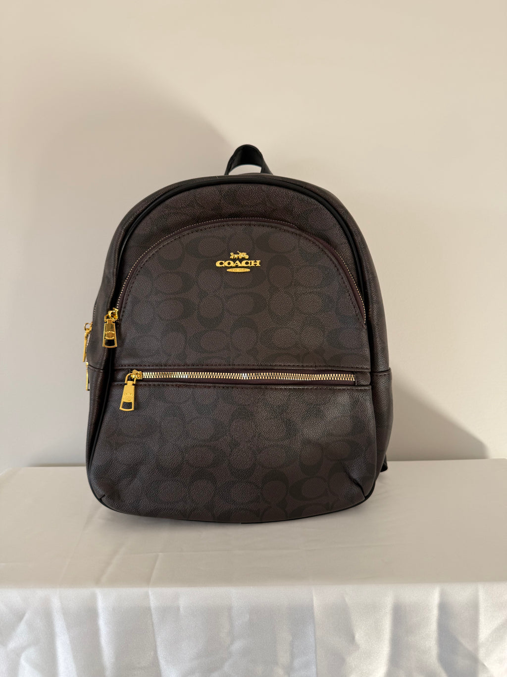 Brown Coach Backpack