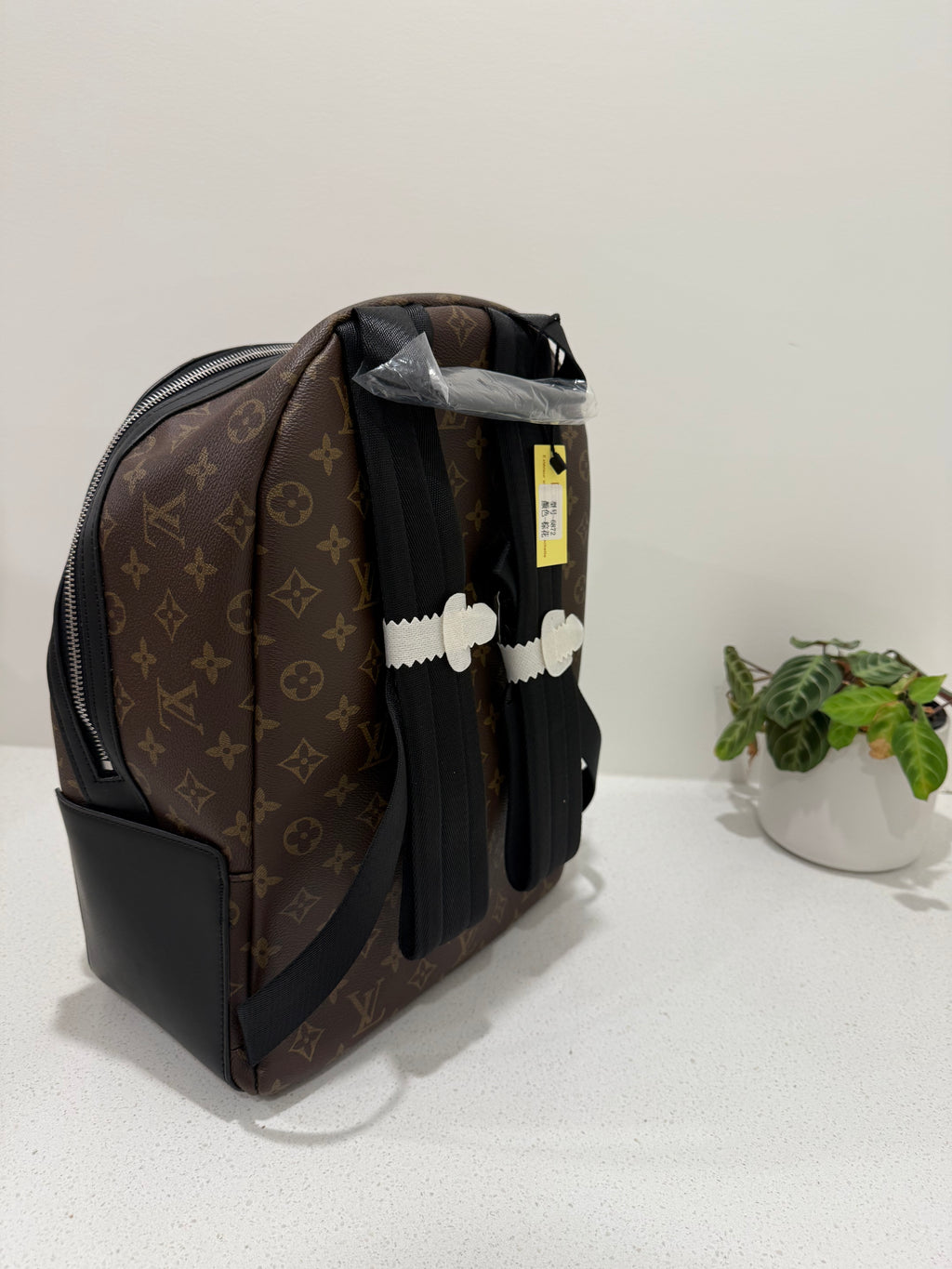 Brown lv backpack