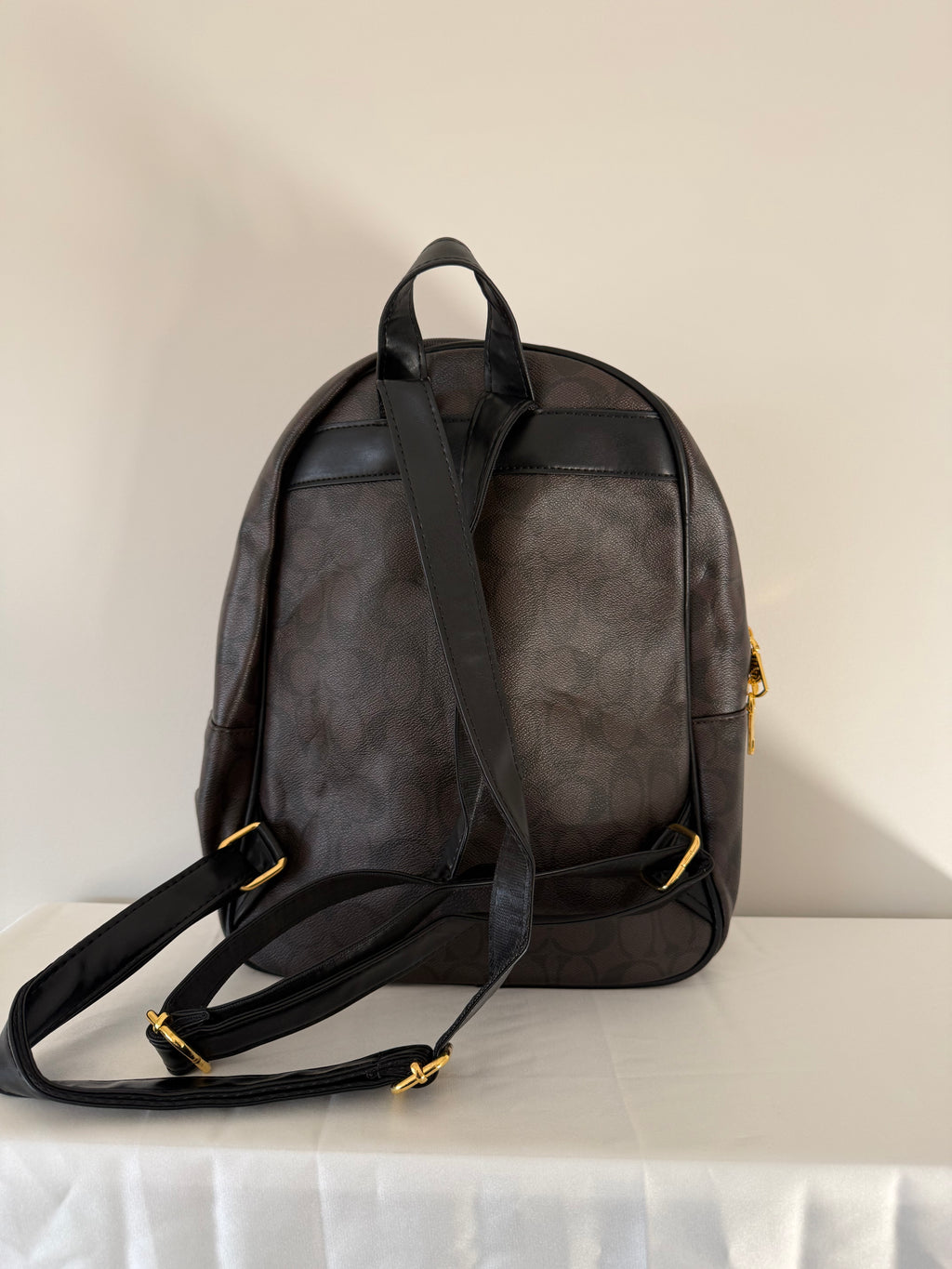 Brown Coach Backpack