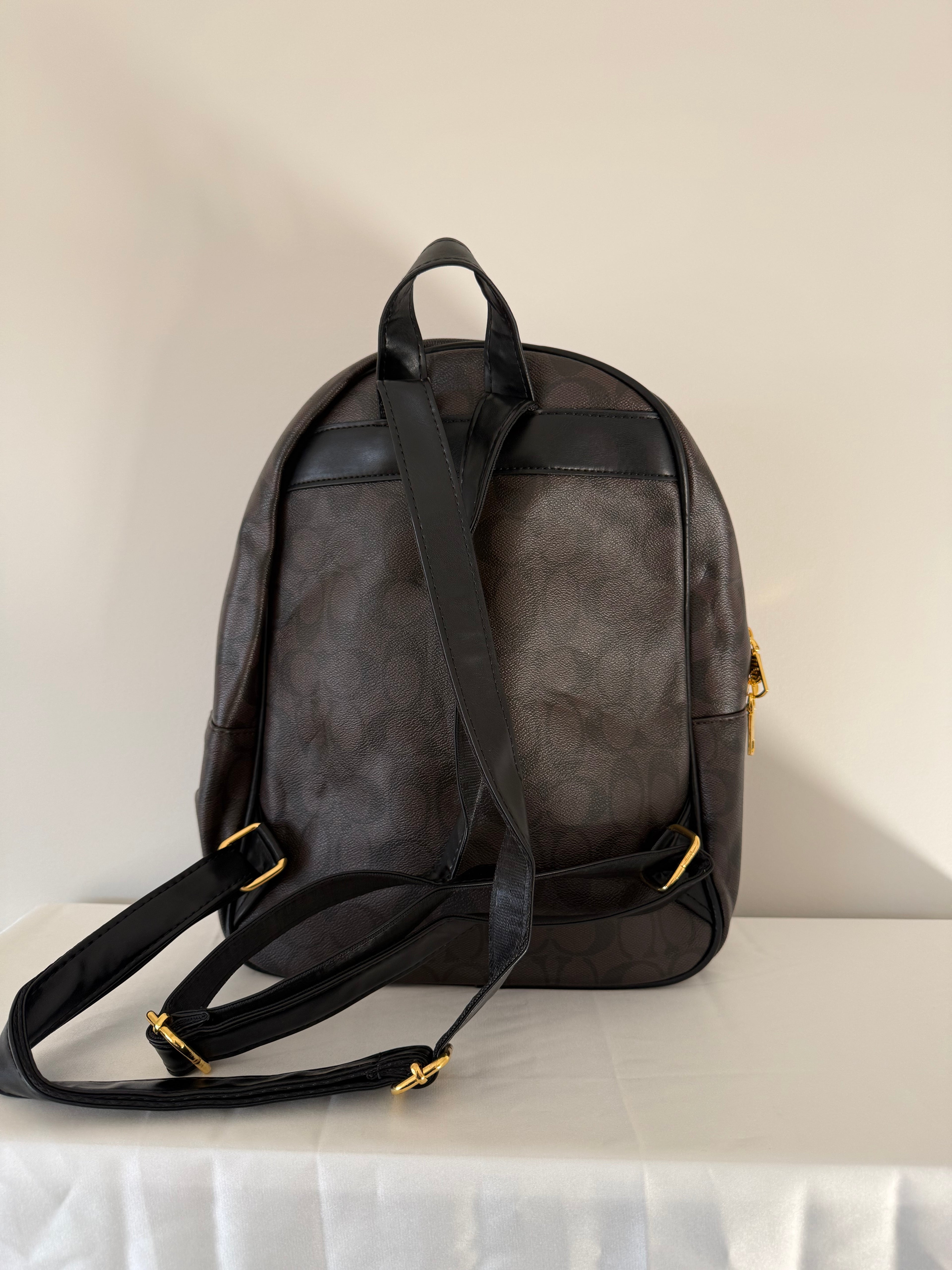 Brown Coach Backpack